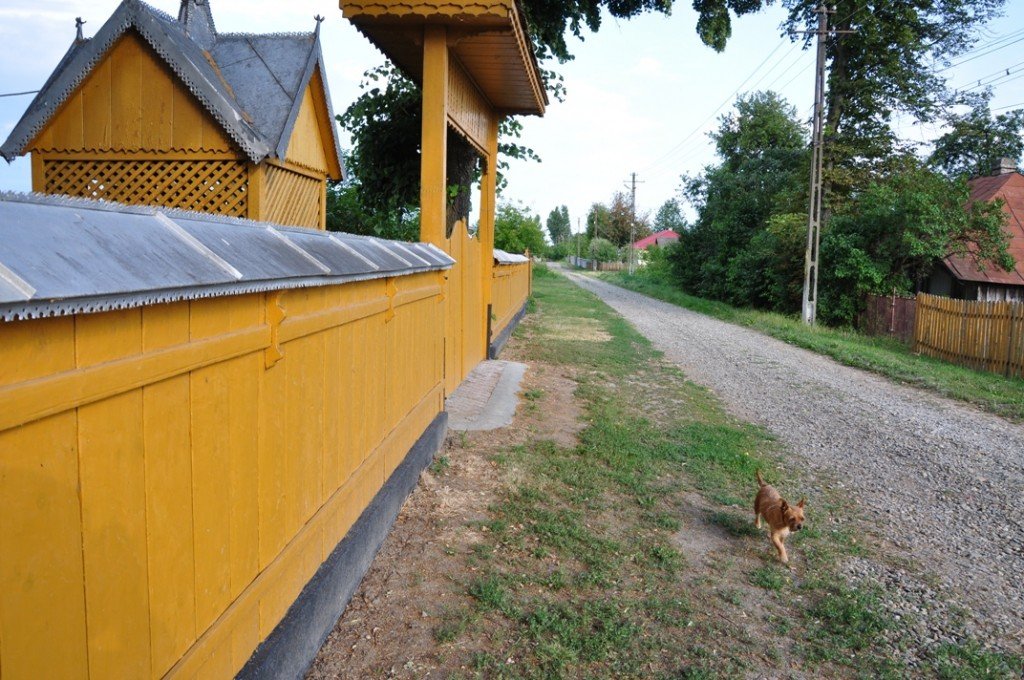 În căutarea Bunicii. Uneori ieșea din curte și o căuta în grădina de peste drum. O astfel de ielșire i-a fost fatală pe această uliță neumblată, unde oamenii ies la poartă când trece câte o mașină.